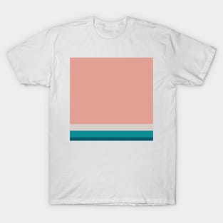 A shocking harmony of Rouge, Blush, Pastel Gray, Dark Cyan and Philippine Indigo stripes. T-Shirt